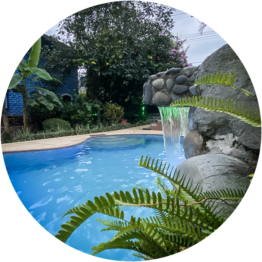 Piscina al aire libre con vista a árboles en Hostal El Bosque de Mindo